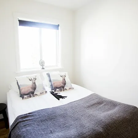 Njalsgata Apartment *