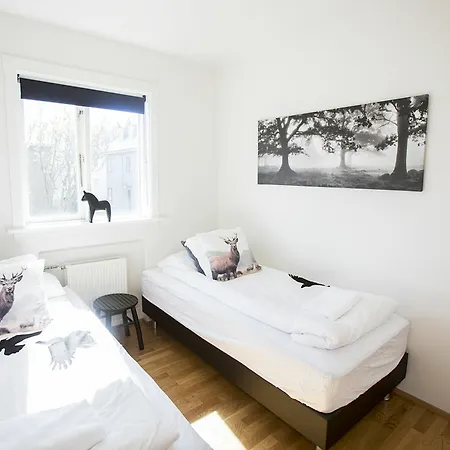 Njalsgata Apartment